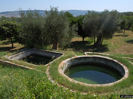 I paesaggi agricoli tradizionali in Basilicata